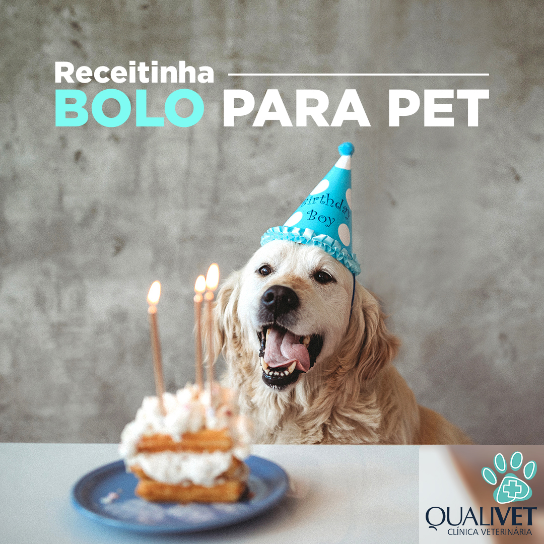 Bolo para Pet